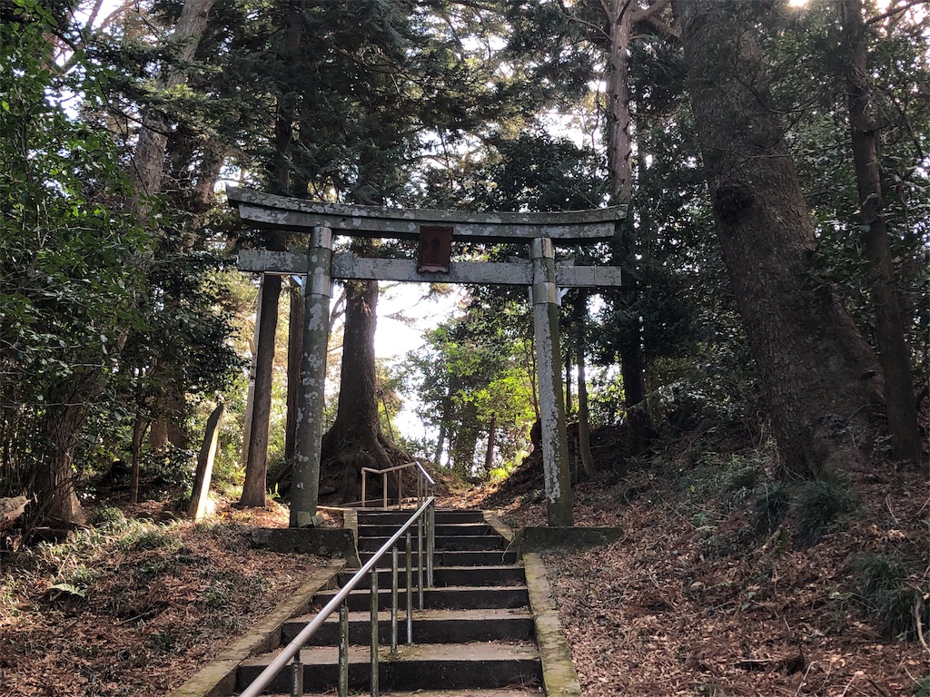 f:id:ringoexplosion:20190211163642j:image