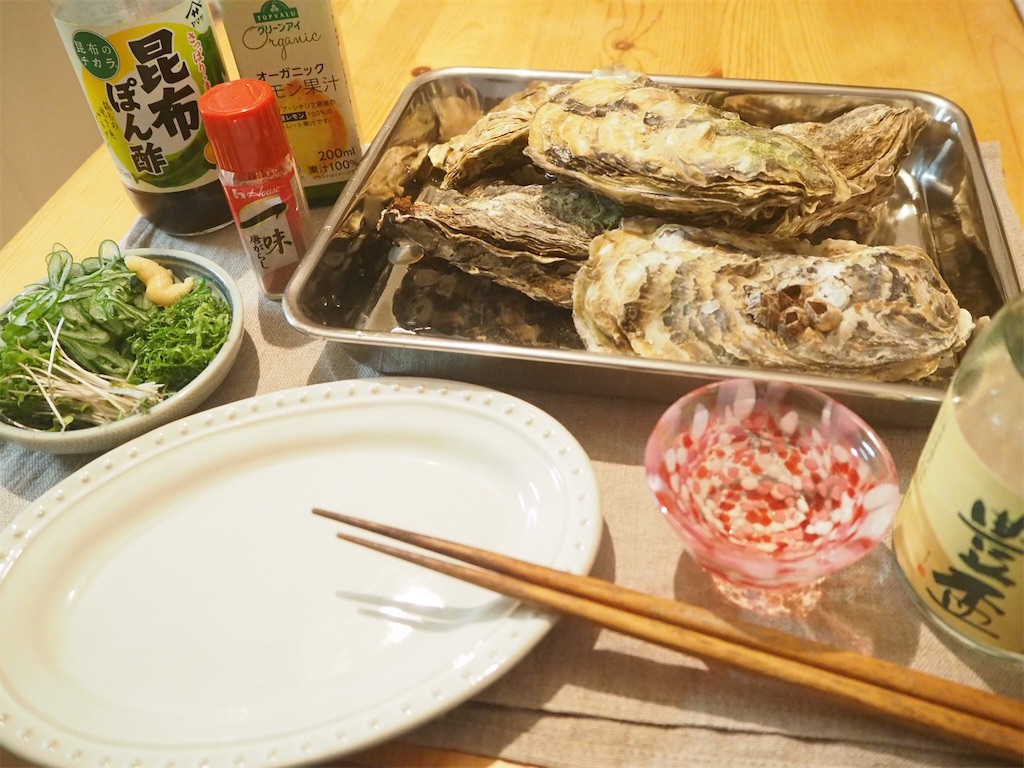f:id:ringoexplosion:20190217155003j:image