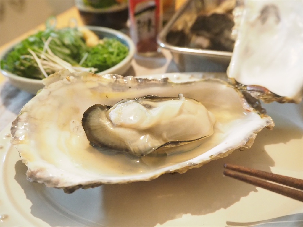 f:id:ringoexplosion:20190217155011j:image