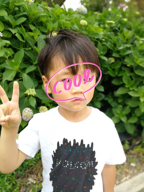 f:id:ringofthesaturn-3807:20190528085842j:image f:id:ringofthesaturn-3807:20190528085842j:image