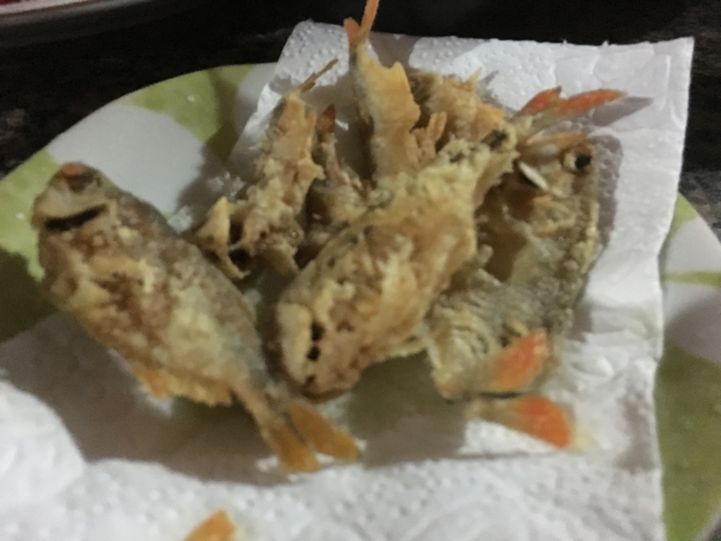 f:id:ringokiwi:20171105110932j:plain