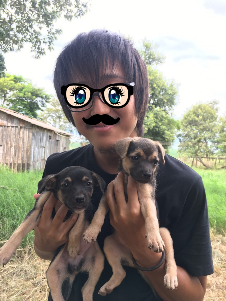f:id:ringokiwi:20171105112224p:plain