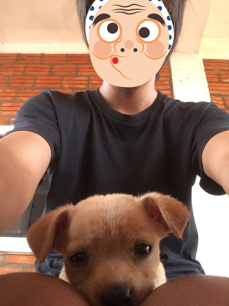 f:id:ringokiwi:20171105112228p:plain