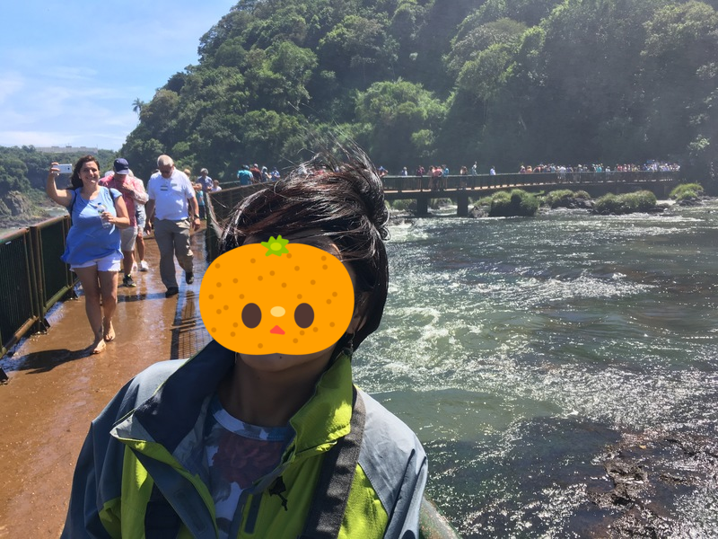 f:id:ringokiwi:20171217110832p:plain