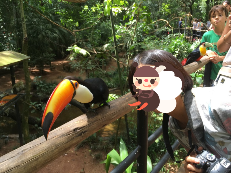 f:id:ringokiwi:20180113113556p:plain