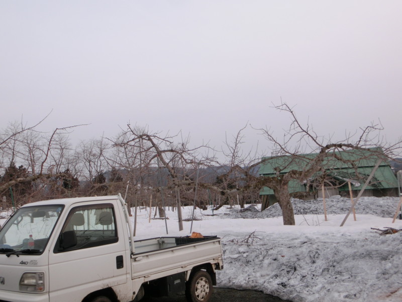 f:id:ringolife:20150318171510j:image