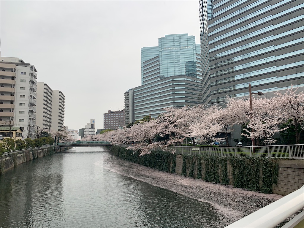 f:id:ringonomi:20220401070940j:image