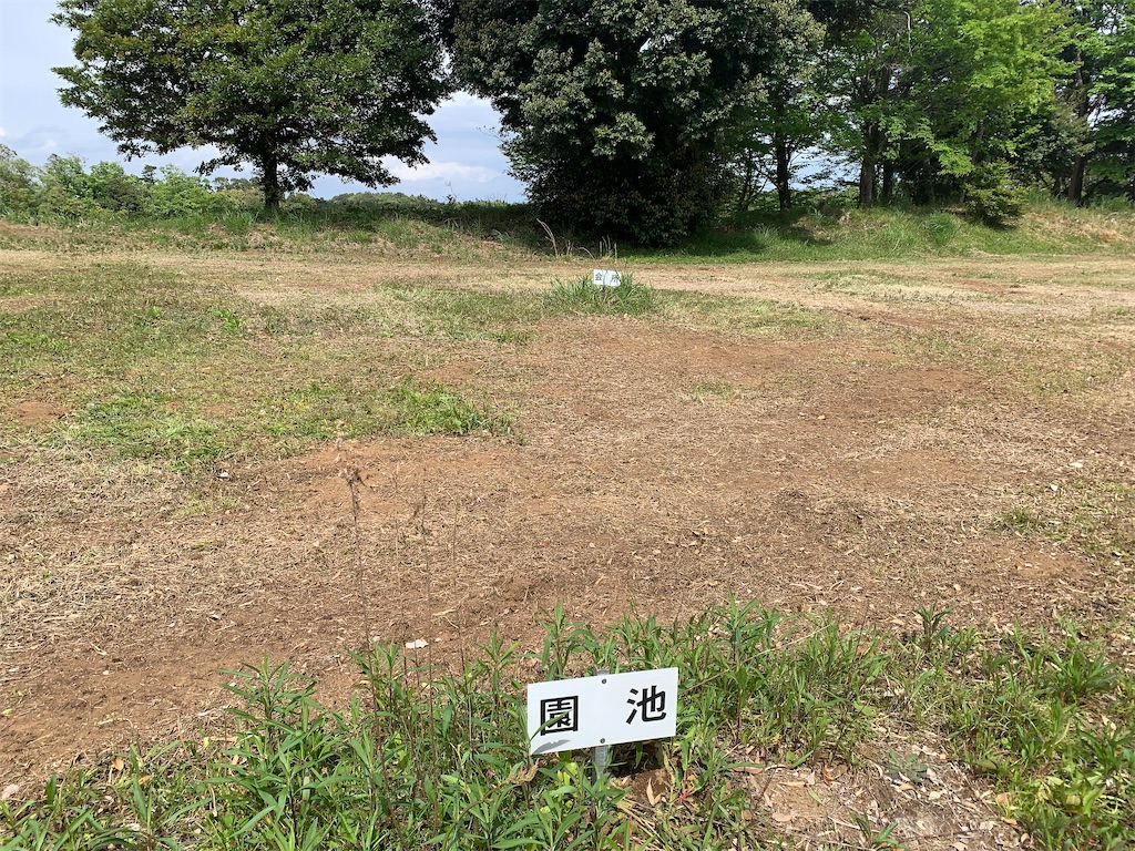 f:id:ringosakana:20210603194321j:plain