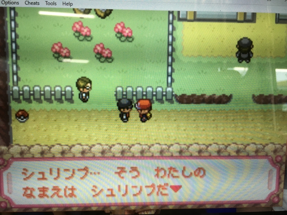 f:id:ringotaro:20190716171602j:plain