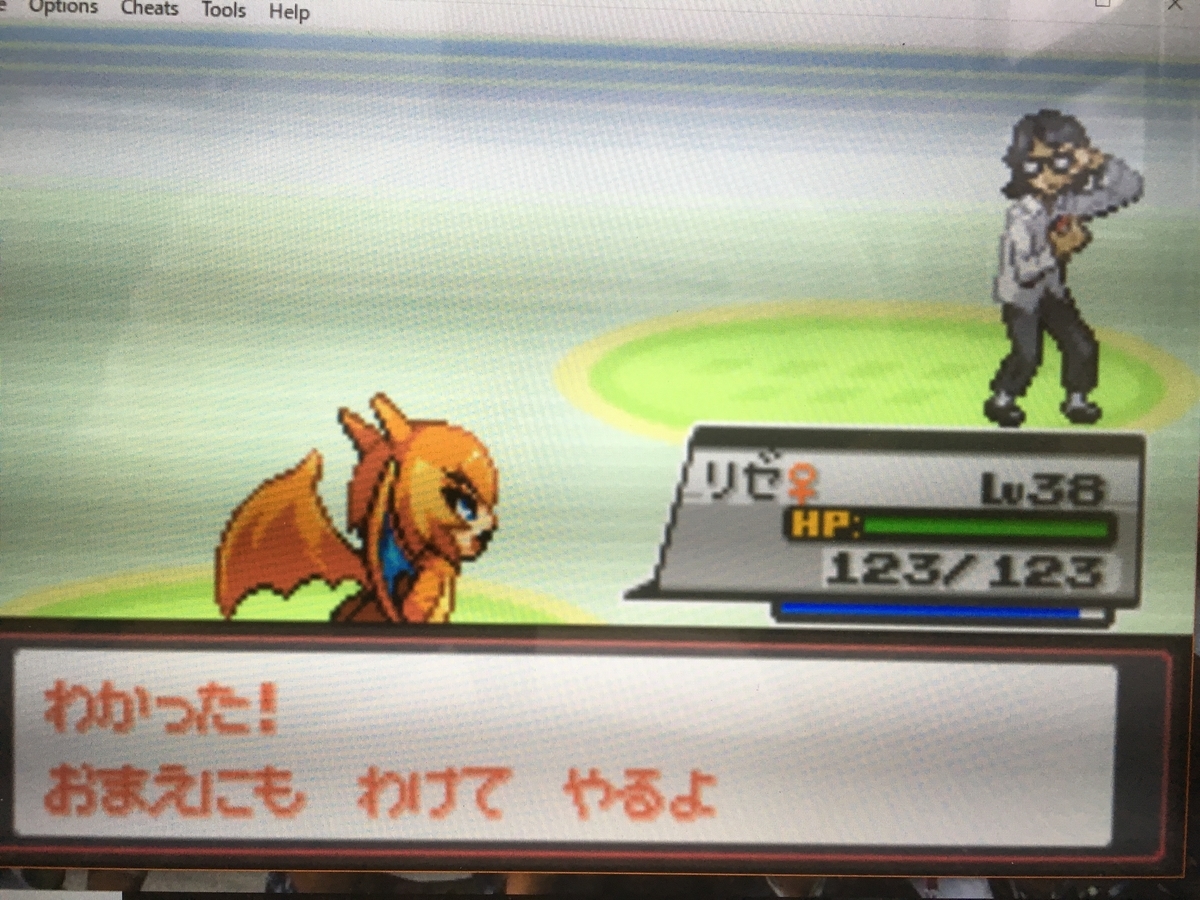 f:id:ringotaro:20190717080653j:plain