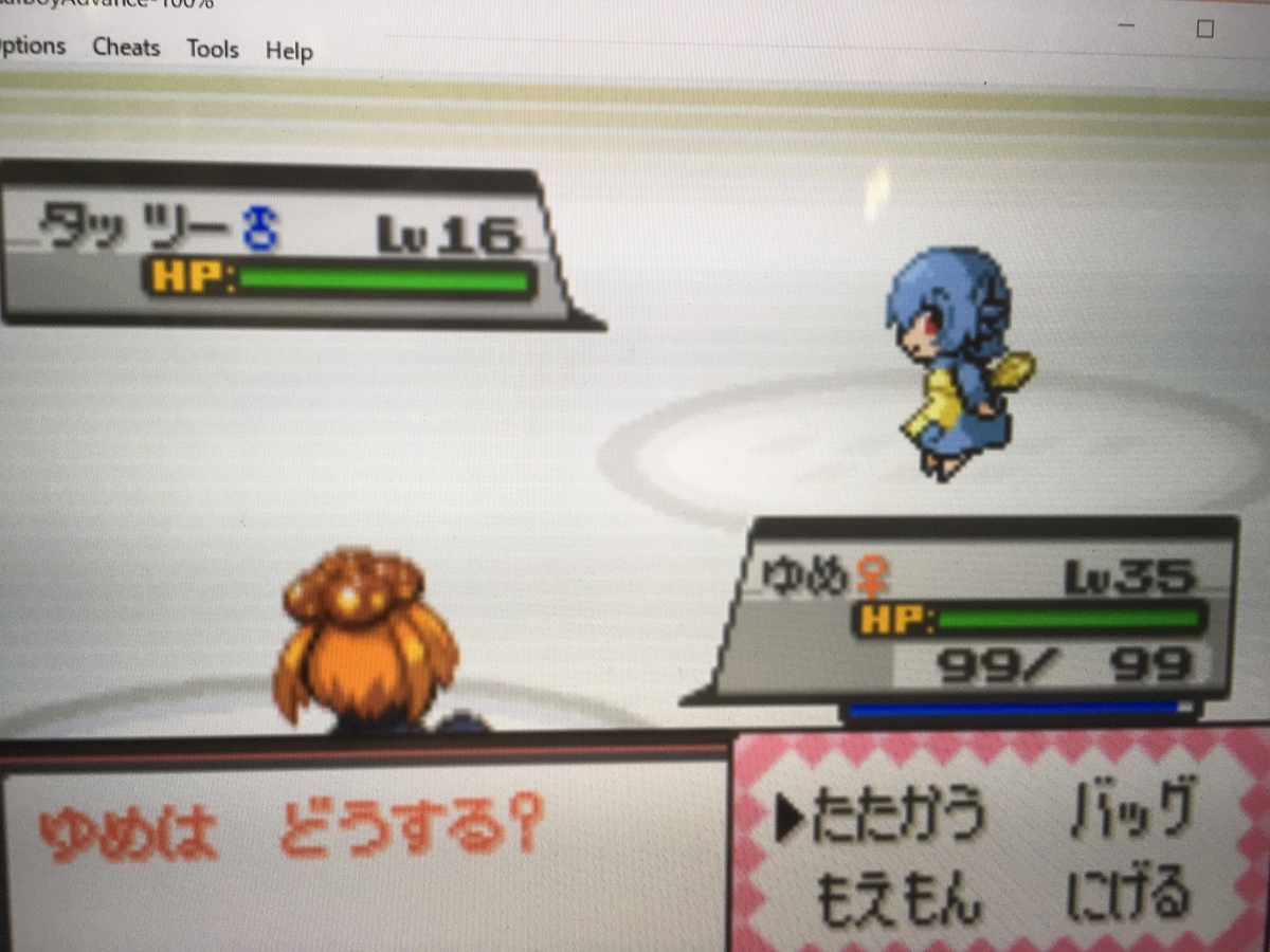 f:id:ringotaro:20190717081917j:plain