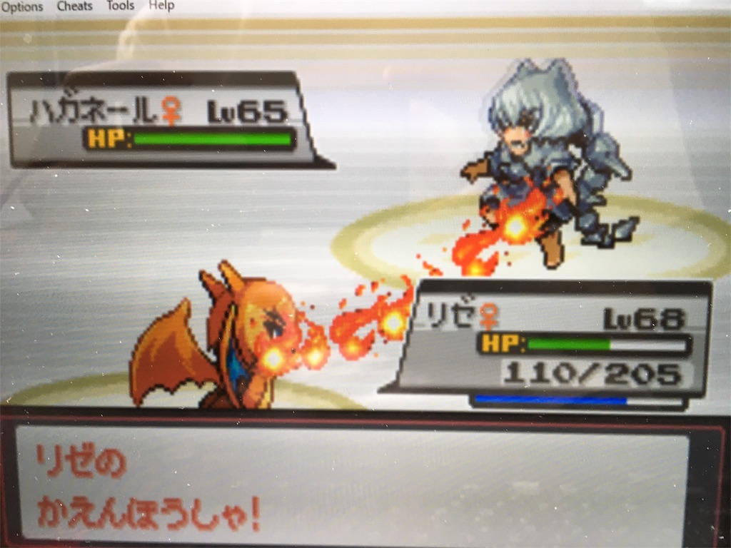 シバのハガネール シバのサワムラー シバのハガネール シバの