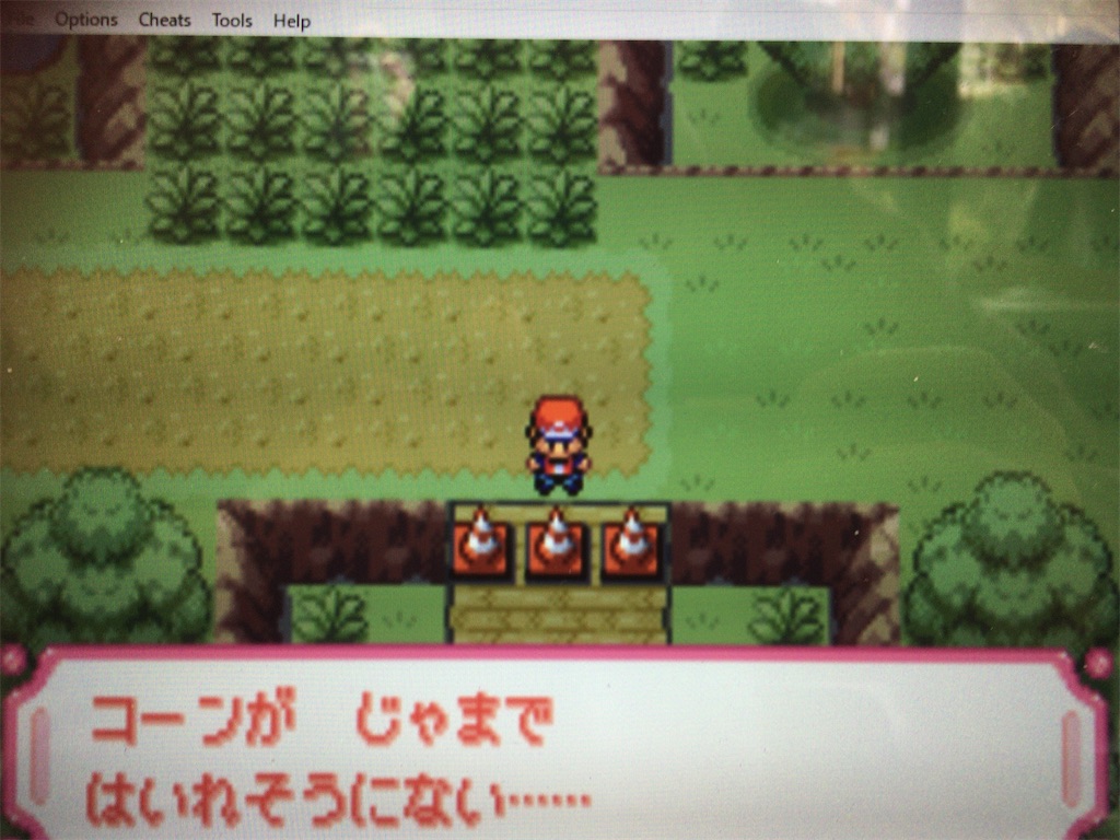 f:id:ringotaro:20191211202005j:image