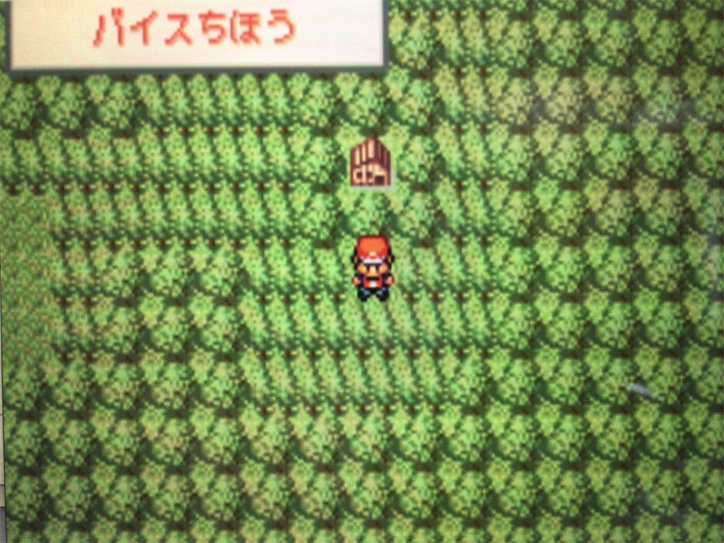 f:id:ringotaro:20200204142612j:image f:id:ringotaro:20200204142612j:image