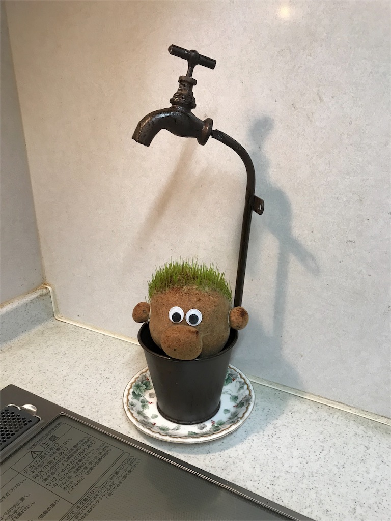 f:id:rinjiku:20190112222219j:image f:id:rinjiku:20190112222219j:image