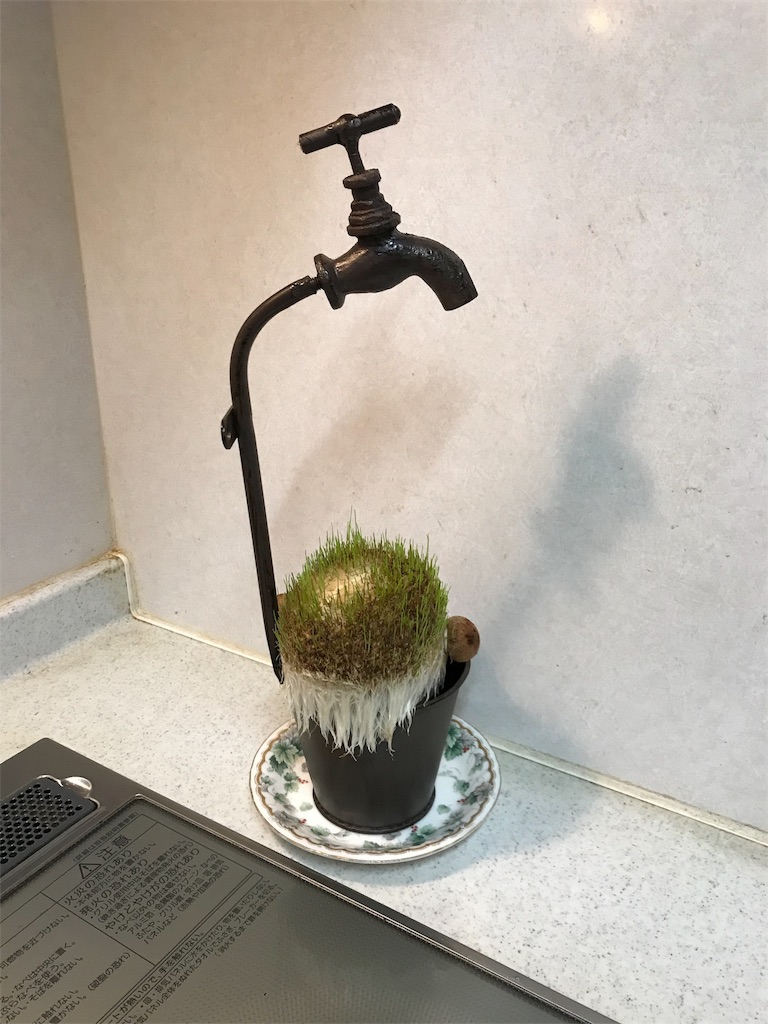 f:id:rinjiku:20190112222224j:image f:id:rinjiku:20190112222224j:image