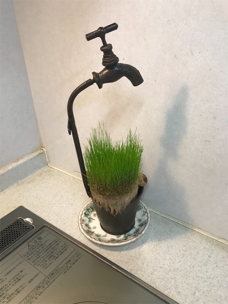 f:id:rinjiku:20190112222322j:image f:id:rinjiku:20190112222322j:image