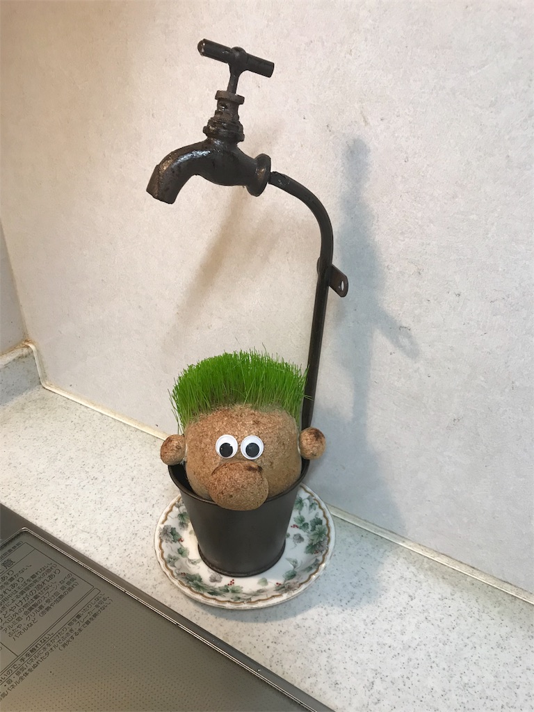 f:id:rinjiku:20190112222514j:image f:id:rinjiku:20190112222514j:image
