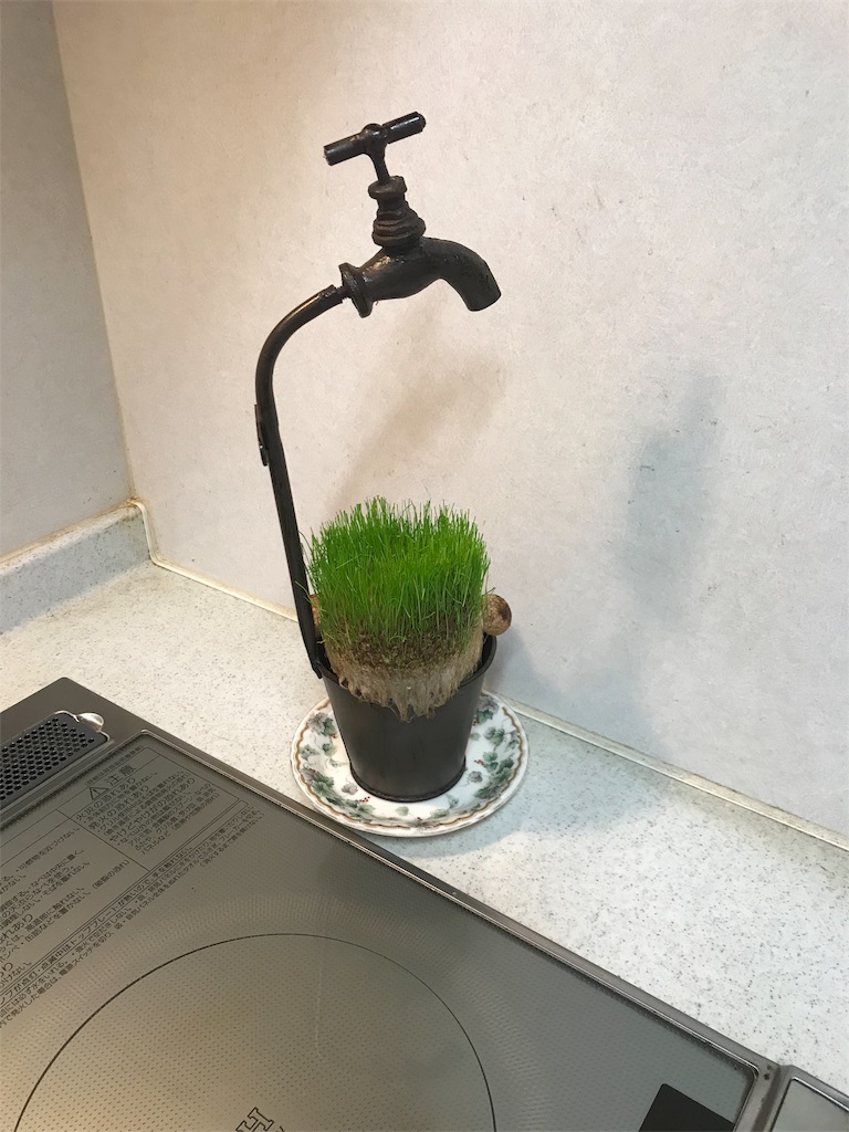 f:id:rinjiku:20190112222518j:image f:id:rinjiku:20190112222518j:image