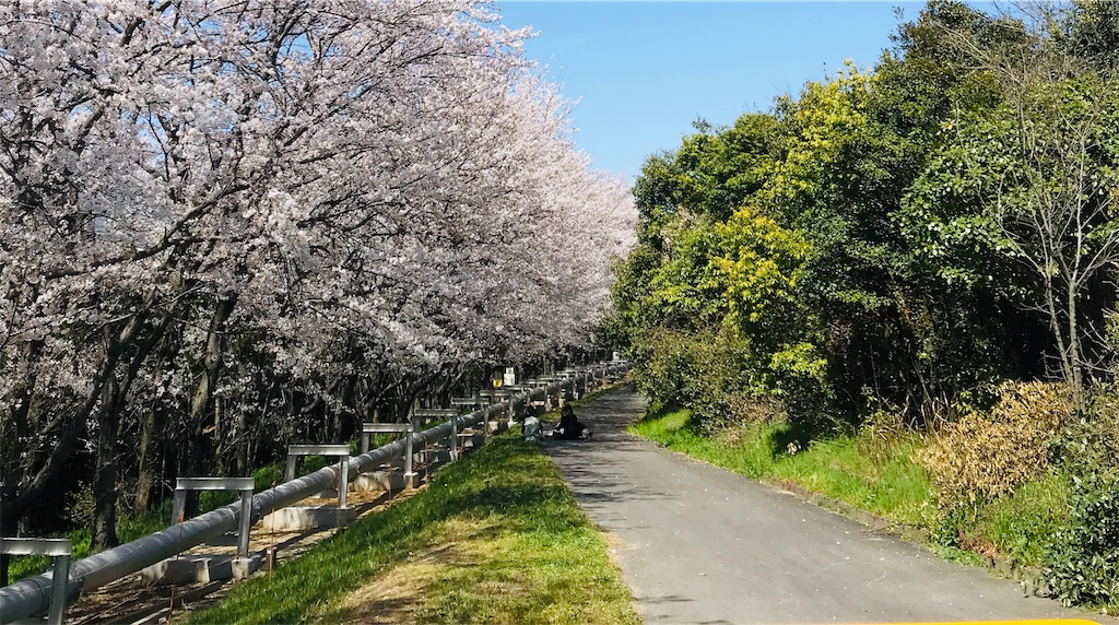 f:id:rinjiku:20190416215807j:image