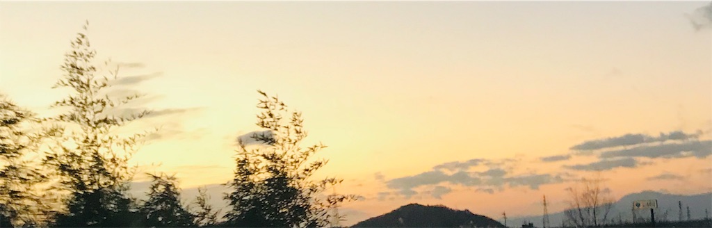 f:id:rinjiku:20190421180403j:image