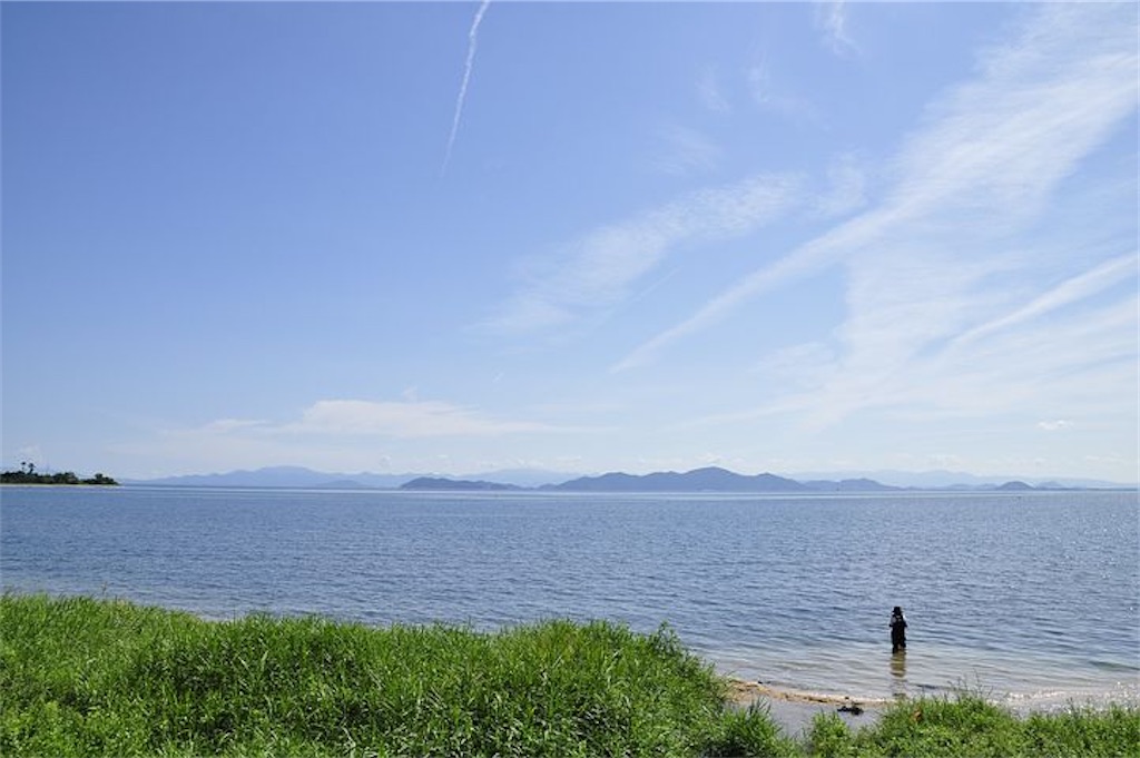 f:id:rinjiku:20201108205034j:image