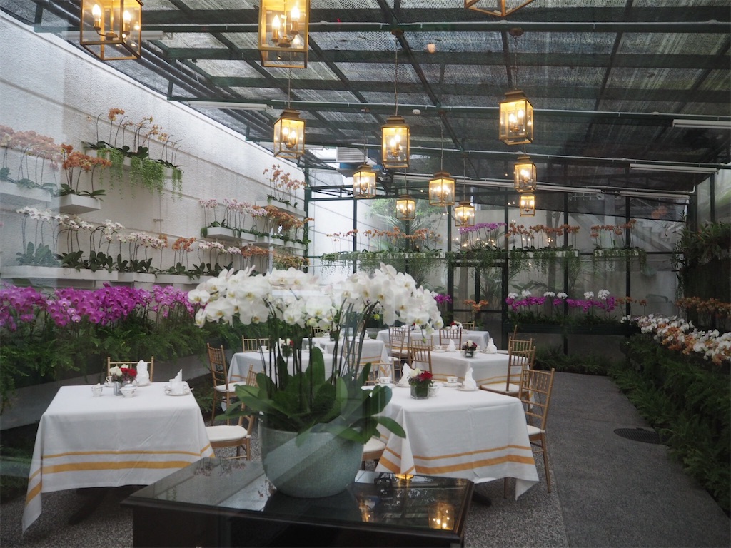 f:id:rinkaf:20170921022654j:image f:id:rinkaf:20170921022654j:image