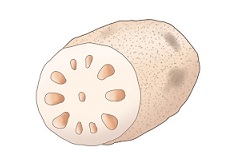 f:id:rinkasanpo:20201210120440j:plain