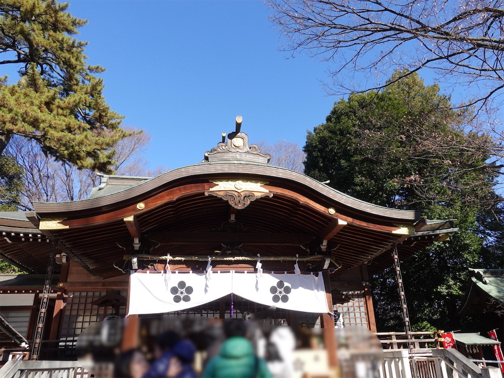 f:id:rinko146:20250113230926j:image f:id:rinko146:20250113230926j:image