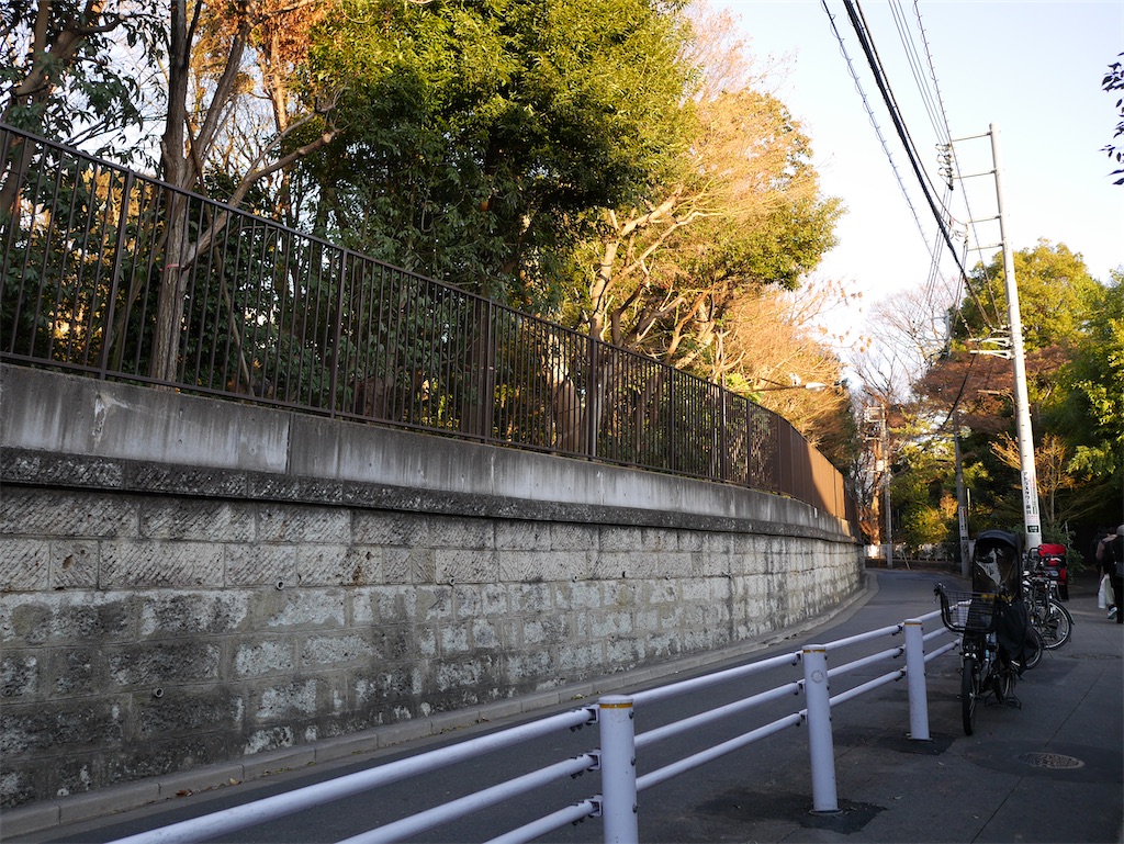 f:id:rinko146:20250127003319j:image