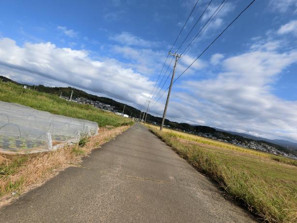 f:id:rinkocamper:20190509224110j:plain f:id:rinkocamper:20190509224110j:plain