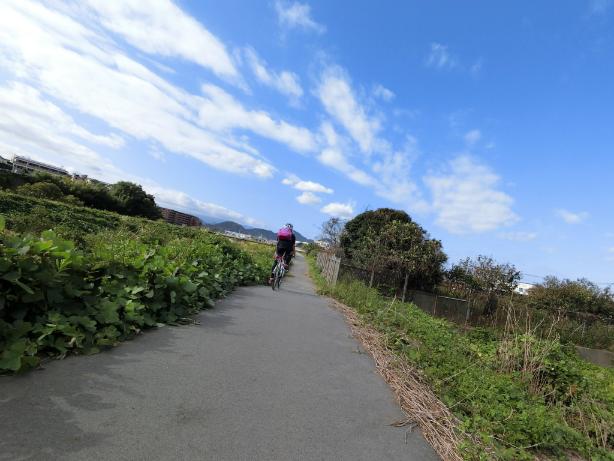 f:id:rinkocamper:20190514224214j:plain f:id:rinkocamper:20190514224214j:plain