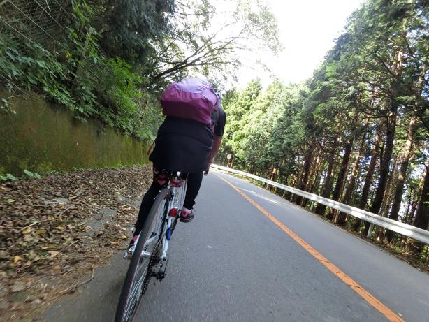 f:id:rinkocamper:20190514231327j:plain f:id:rinkocamper:20190514231327j:plain