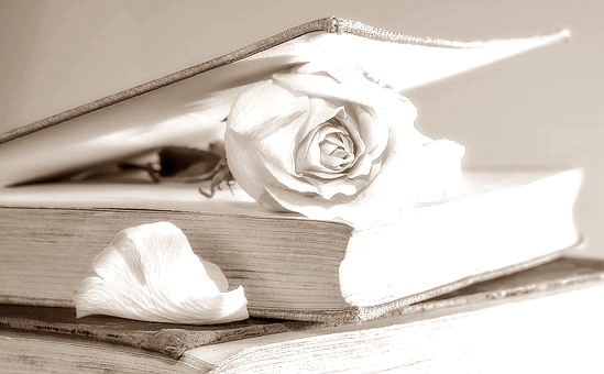 f:id:rinkochang:20180908213350j:plain f:id:rinkochang:20180908213350j:plain