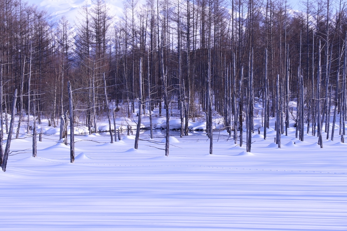 f:id:rinkona310:20200313212601j:plain f:id:rinkona310:20200313212601j:plain