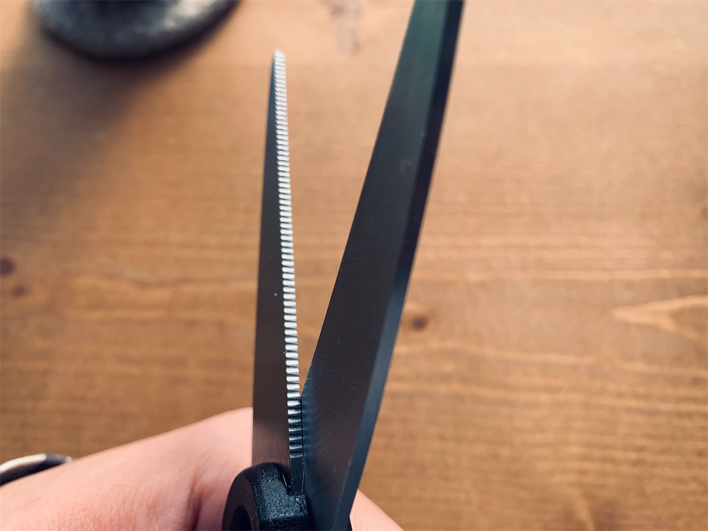 f:id:rinkurunokurashi:20210203092245j:image