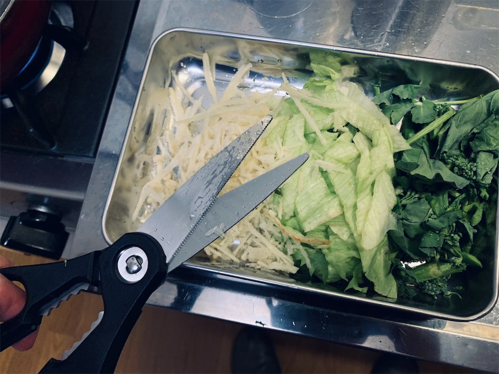 f:id:rinkurunokurashi:20210203092419j:image