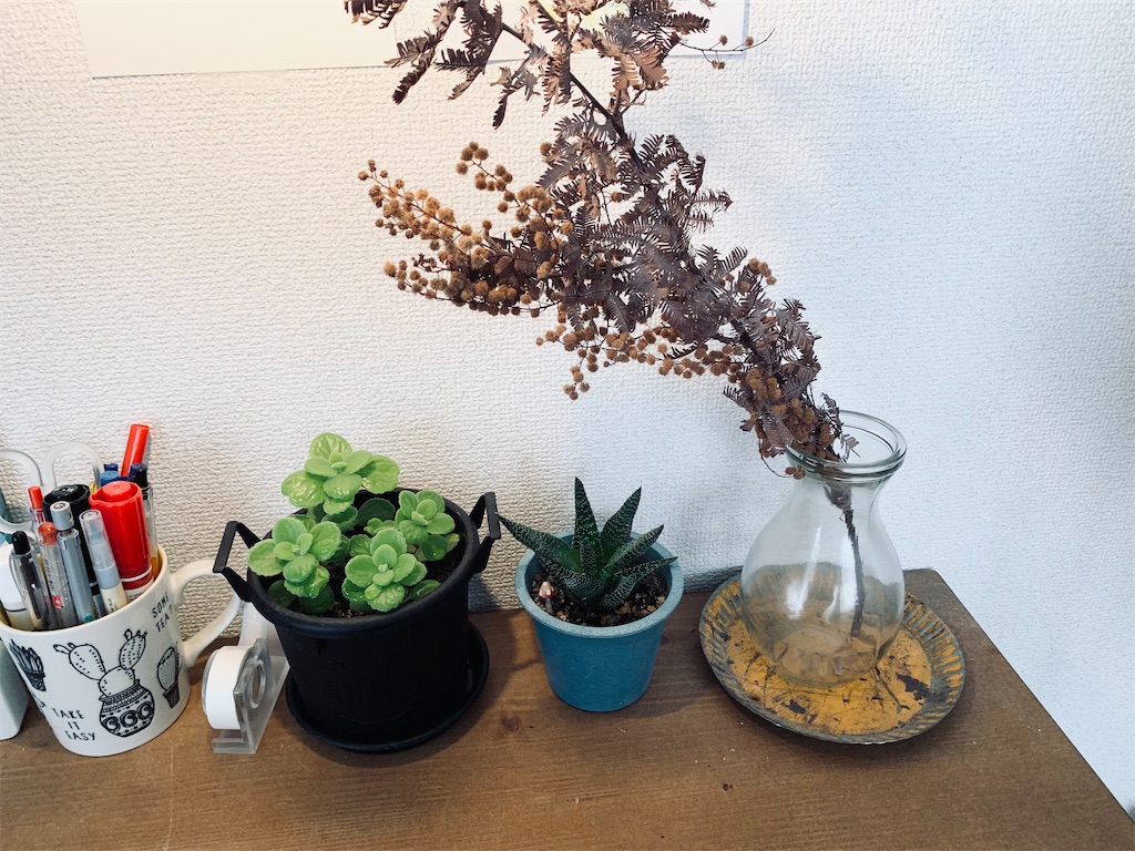 f:id:rinkurunokurashi:20220106134513j:image