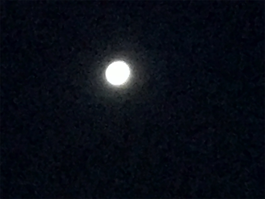 f:id:rinnano:20190524221742j:image f:id:rinnano:20190524221742j:image