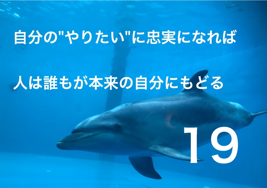 f:id:rinnano:20190605222227j:image f:id:rinnano:20190605222227j:image