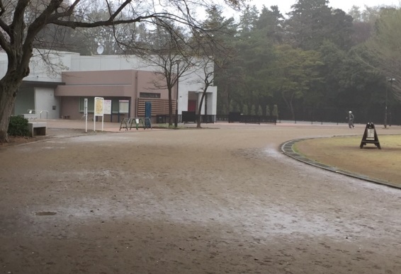  月がきれい　井の頭恩賜公園競技場