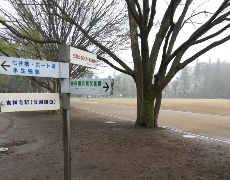 月がきれい 井の頭恩賜公園競技場 月がきれい 井の頭恩賜公園競技場