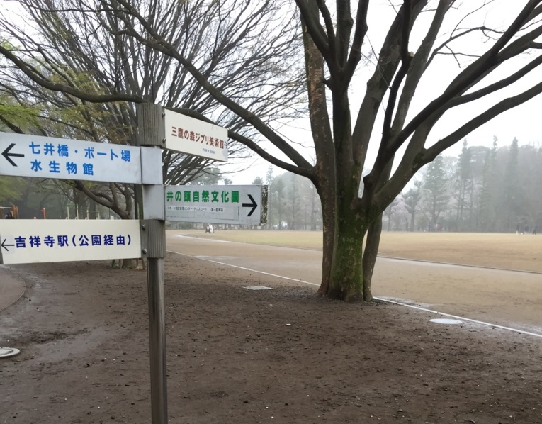  月がきれい　井の頭恩賜公園競技場