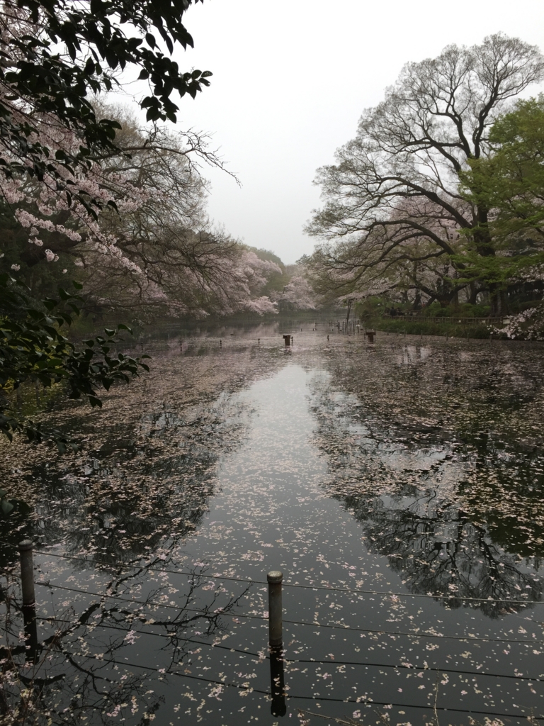 月がきれい 聖地巡礼 舞台探訪 東京都三鷹 インスタ映えの井の頭恩賜公園 等式のぶらり探訪日記と趣味の事情 月がきれい 聖地巡礼 舞台探訪 東京都三鷹 インスタ映えの井の頭恩賜公園 等式のぶらり探訪日記と趣味の事情