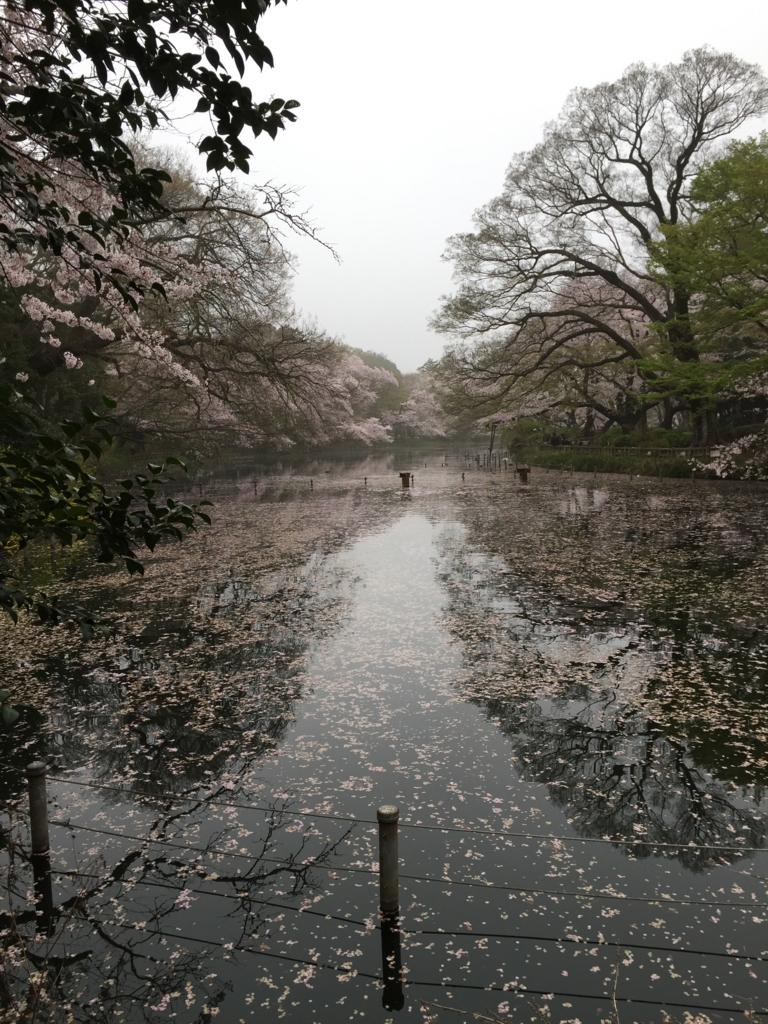  井の頭恩賜公園