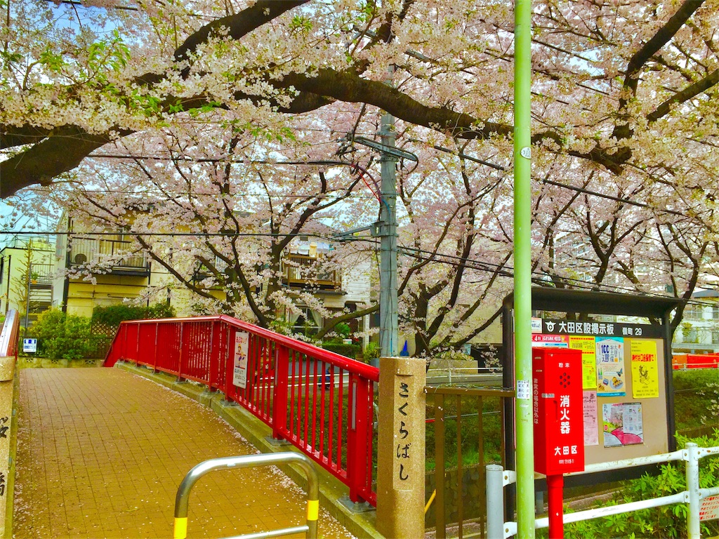 CLANNAD 桜坂 CLANNAD 桜坂