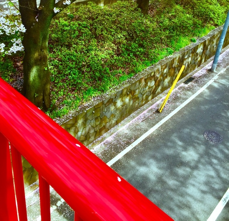 CLANNAD 桜坂 CLANNAD 桜坂