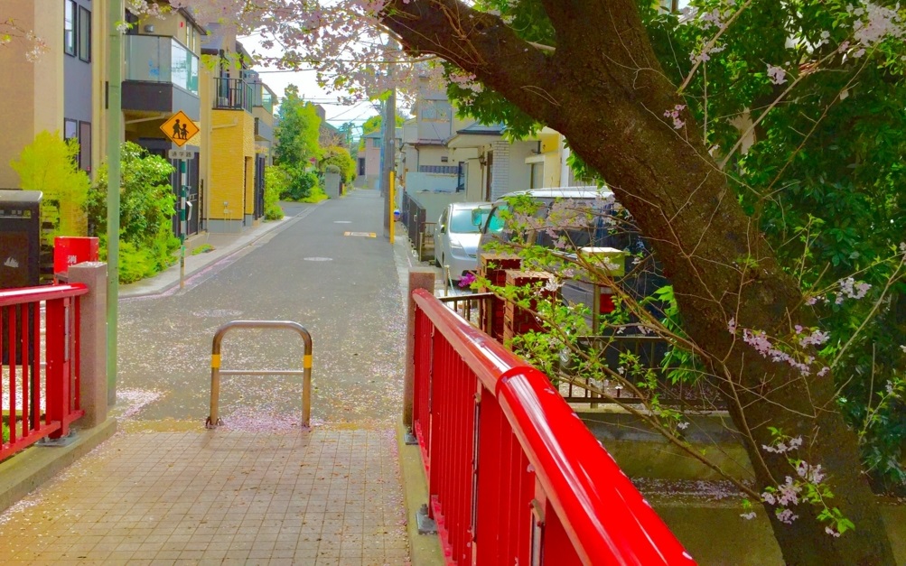 CLANNAD 桜坂 CLANNAD 桜坂