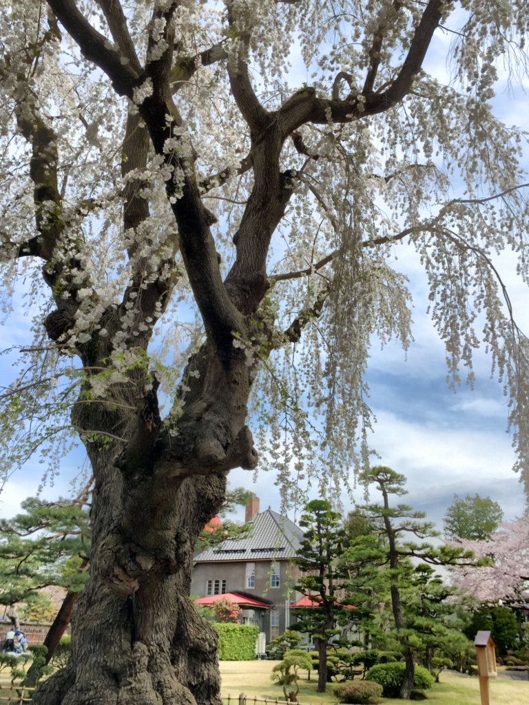 藤田記念庭園 藤田記念庭園