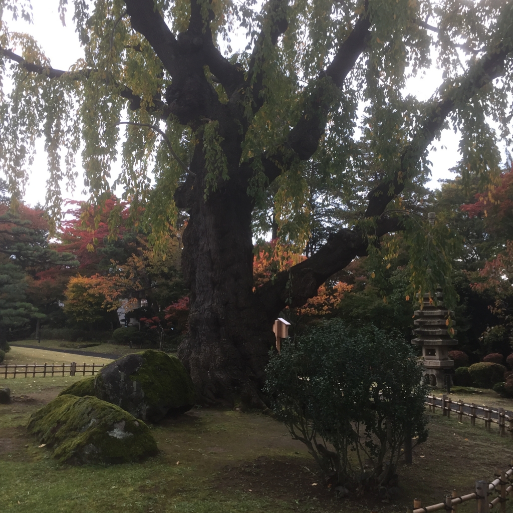 藤田記念庭園 藤田記念庭園